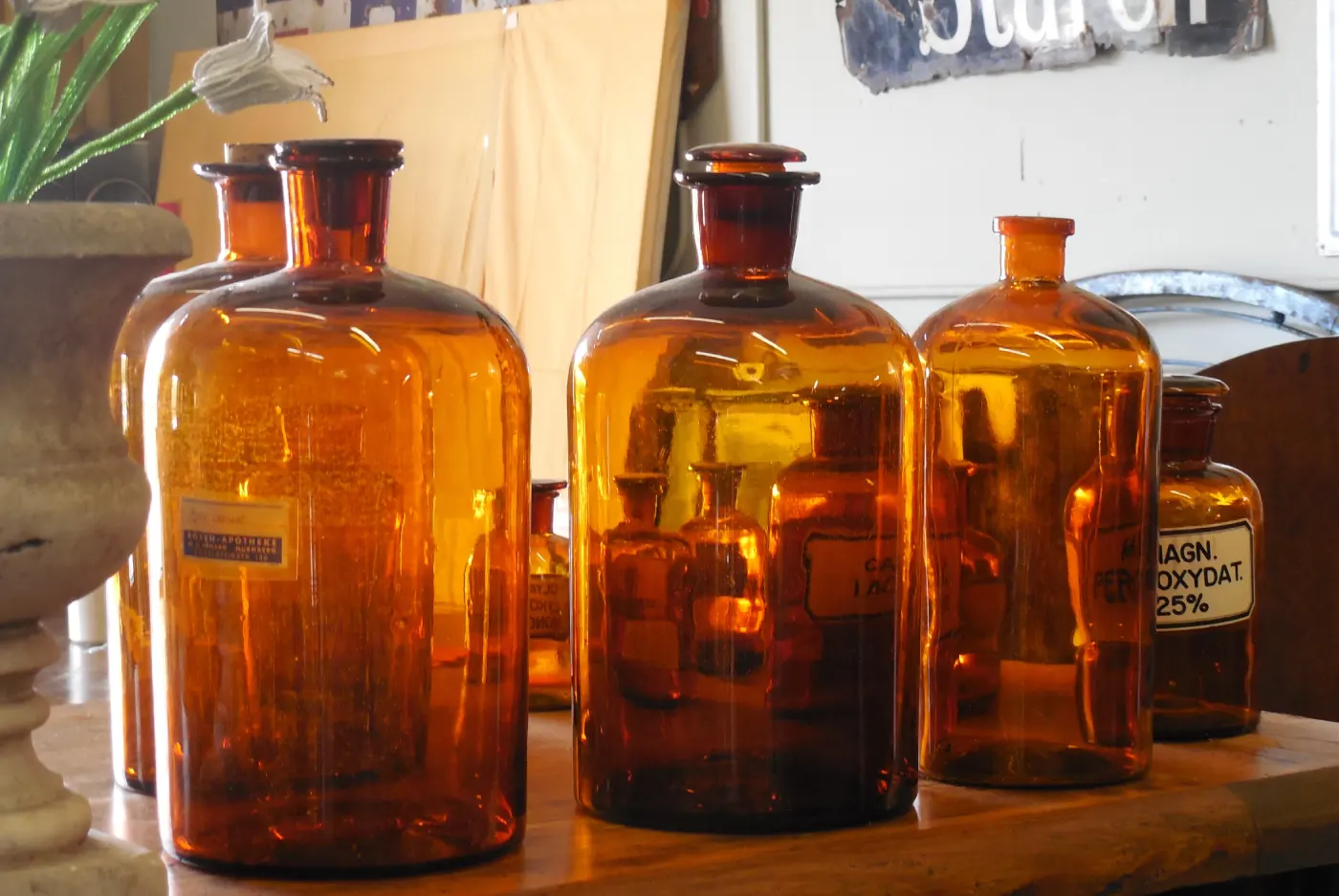 Unlocking the Potential of Herbal Remedies